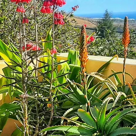 Casitas منزل ريفي
