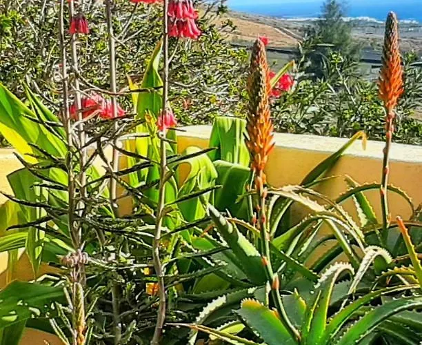 Casitas Venkovský dům